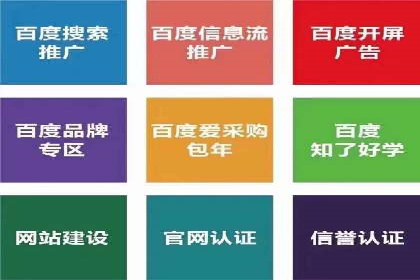 成功案例分享：SEM竞价代运营策略解析